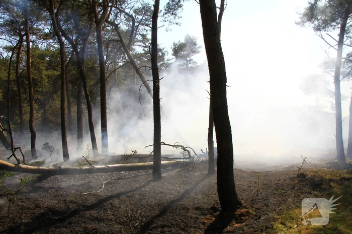Wederom natuurbrand, brandweer rijdt zich vast