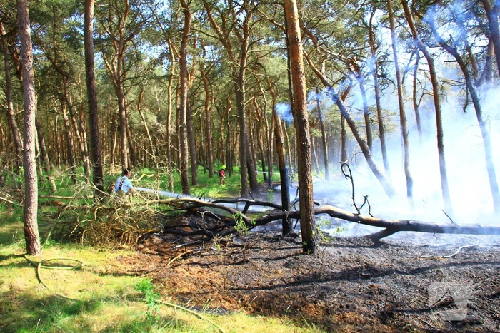 Wederom natuurbrand, brandweer rijdt zich vast