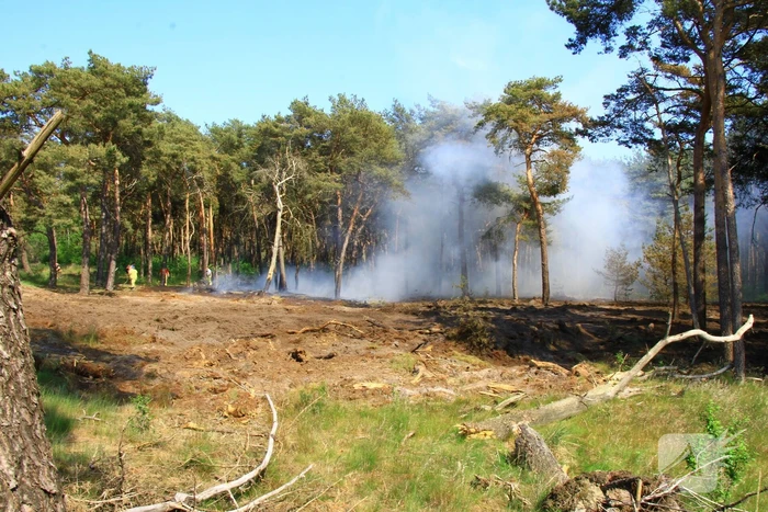 Wederom natuurbrand, brandweer rijdt zich vast