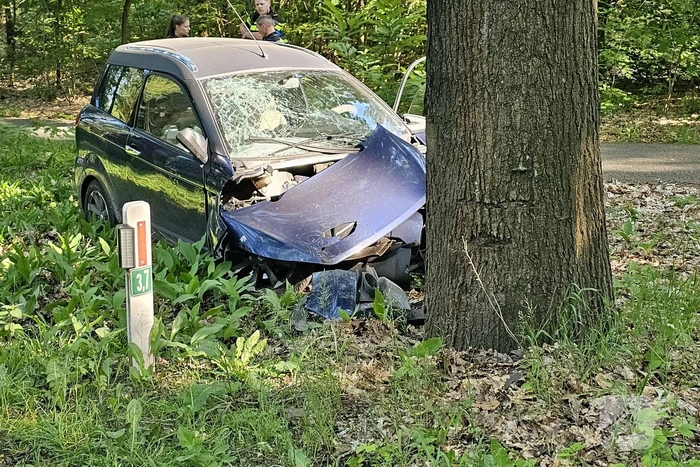 Brommobiel klapt op boom