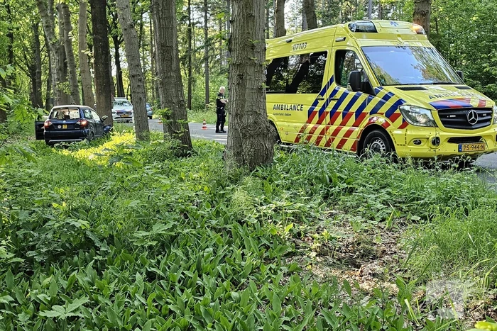 Brommobiel klapt op boom
