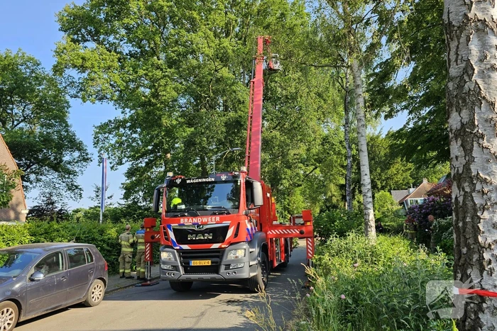 Loshangende tak vormt groot gevaar voor voorbijgangers