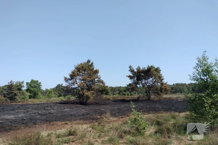 Opnieuw brand in natuurgebied