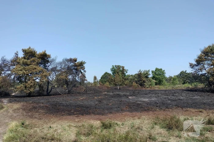 Opnieuw brand in natuurgebied