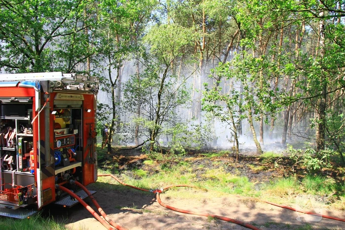 brand maarheezerhuttendijk weert