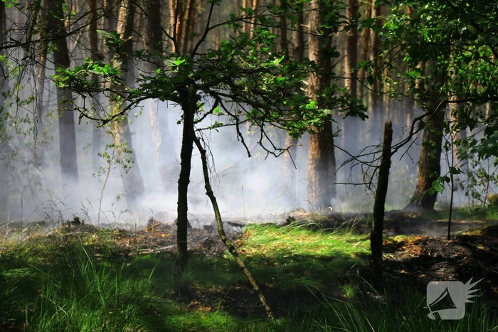 Brandweer bestrijdt hevige brand in natuurgebied