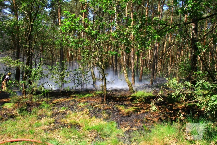 Brandweer bestrijdt hevige brand in natuurgebied