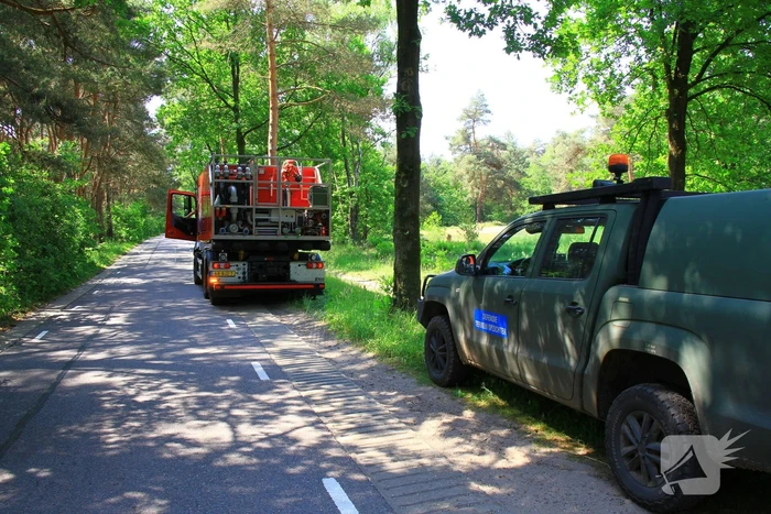 Brandweer bestrijdt hevige brand in natuurgebied