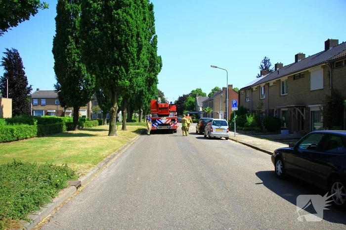nieuws groenewoudlaan weert