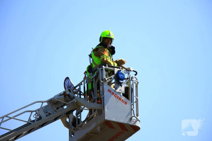 Kat in nood brandweer zet hoogwerker in voor reddingsactie