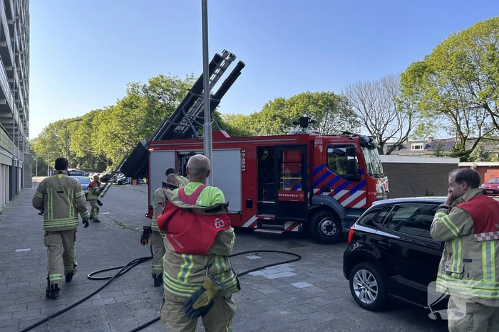 Brand in boom snel onder controle