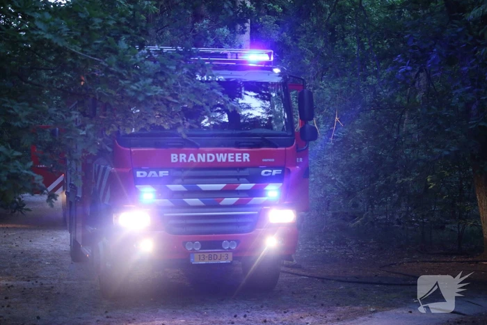 Beginnende bosbrand snel onder controle
