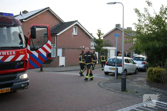 Brandweer ingezet voor gans op dak van schuur
