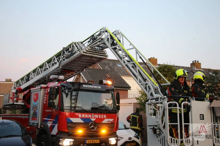 Brandweer ingezet voor gans op dak van schuur