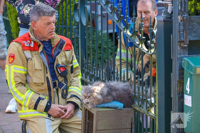 Brandweer bevrijdt kat Gijs uit hek