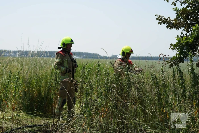 Meters in vlammen opgegaan bij brand in recreatiegebied De Vliegers