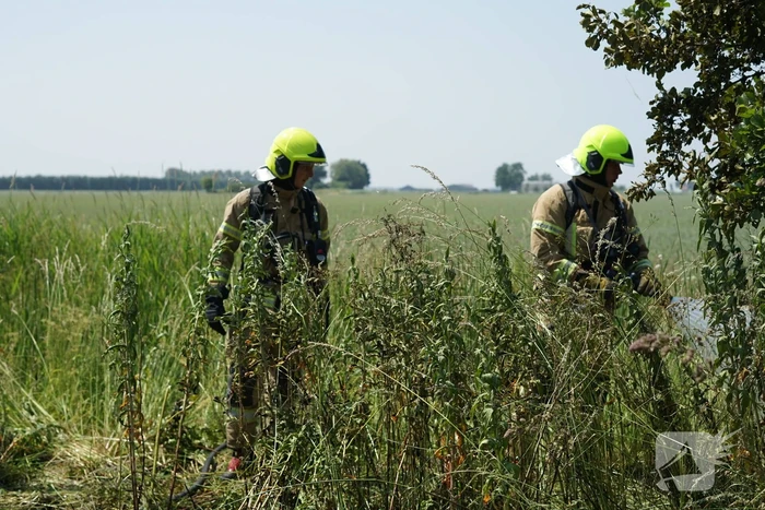 Meters in vlammen opgegaan bij brand in recreatiegebied De Vliegers