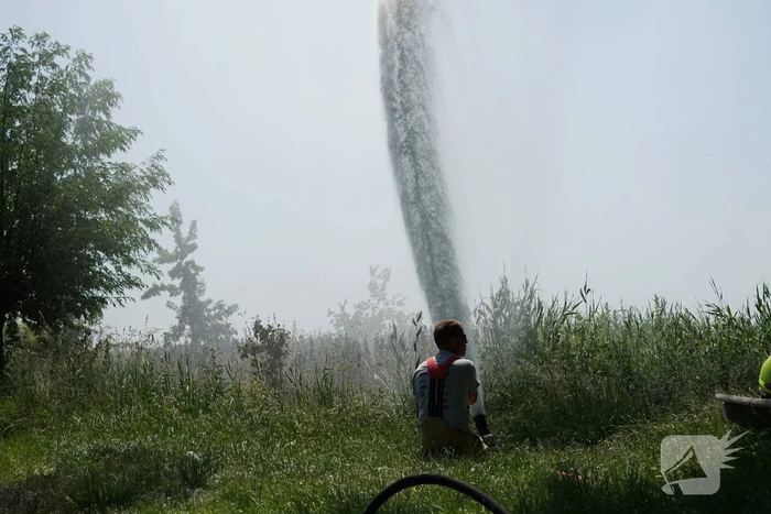 Meters in vlammen opgegaan bij brand in recreatiegebied De Vliegers