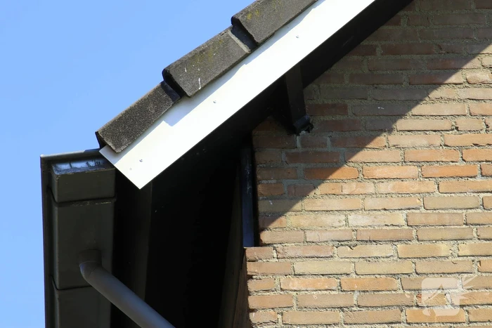 Geldropse brandweer bevrijdt vastzittende vogel onder dak