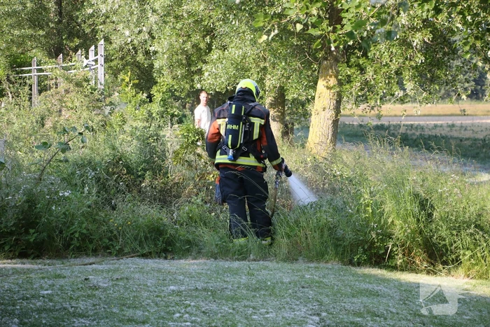 Meerdere brandhaarden op parkeerplaats