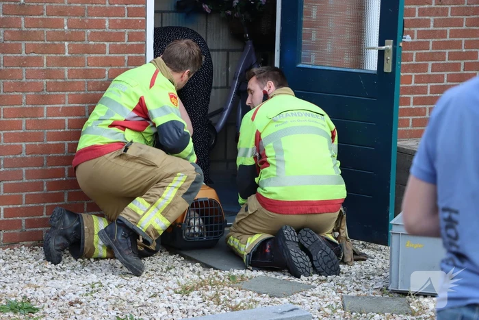 Twee konijnen gered door brandweer bij brand