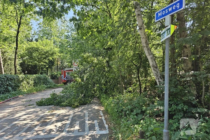 Brandweer ingezet voor loshangende tak