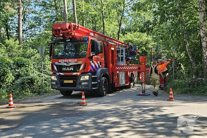 Brandweer ingezet voor loshangende tak