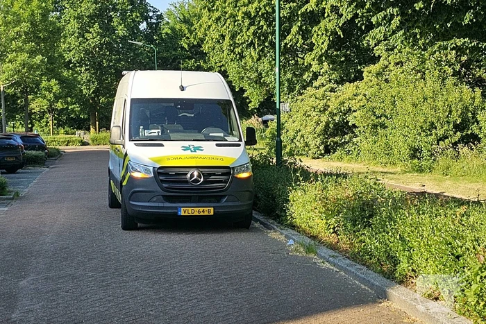 Brandweer bevrijdt vastzittende zwaluw