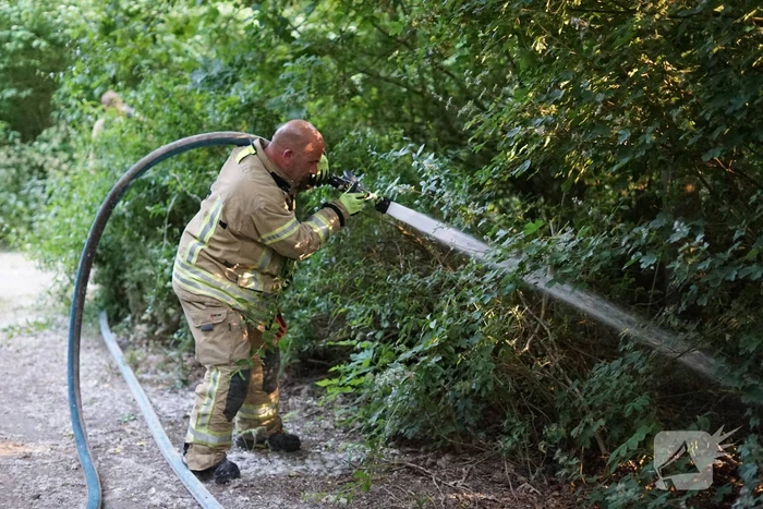 Meerdere branden in bosgebied