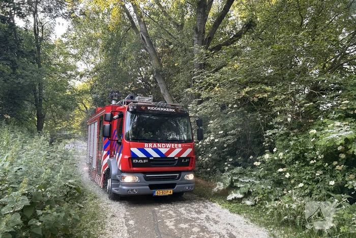 Brandweer blust brand in bosgebied