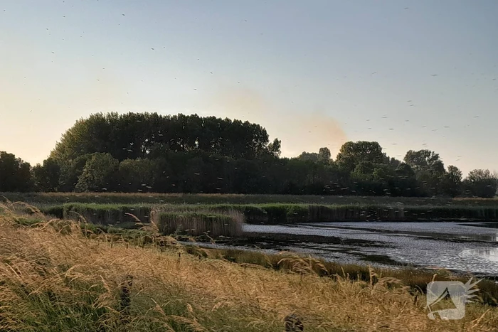 Brandweer blust brand in bosgebied