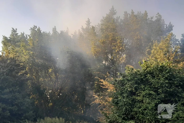 Brandweer blust brand in bosgebied
