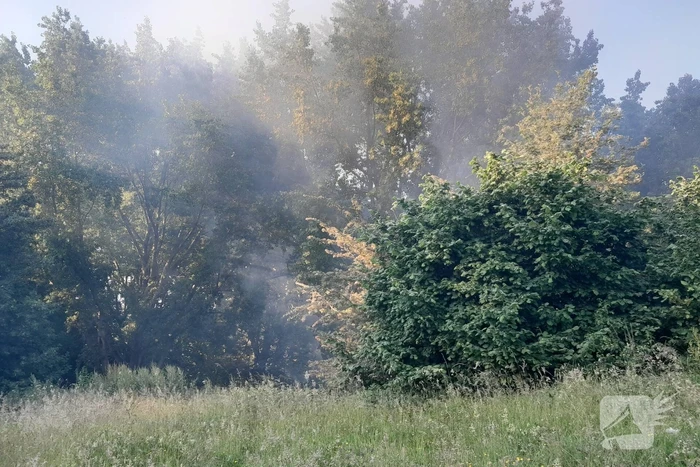 Brandweer blust brand in bosgebied
