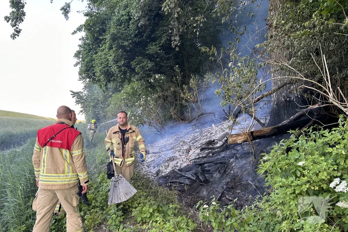 Brandweer blust brand in bosgebied