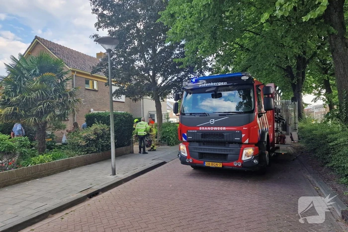 brand franseweg steenbergen