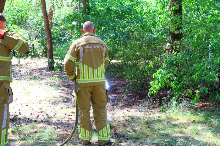 Stuk natuur in brand op vakantiepark