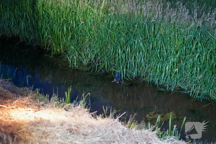 Fiets ligt dagenlang in water