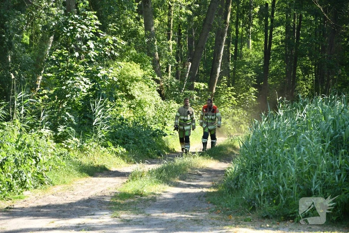 Brand in bosgebied