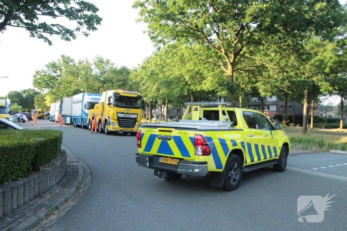 Vrachtwagen met koeien defect op snelweg
