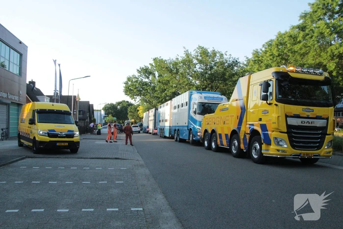 Vrachtwagen met koeien defect op snelweg