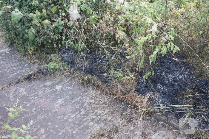 brand gooweg noordwijk