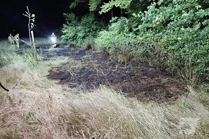 Brandweer blust brand in bosschage