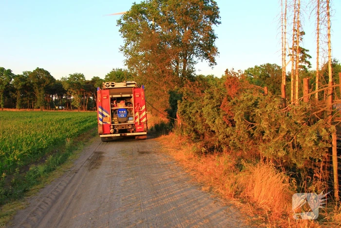 Natuurbrand laait weer op