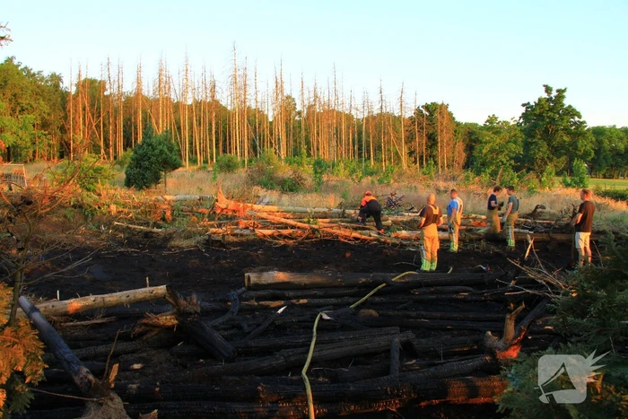 Natuurbrand laait weer op