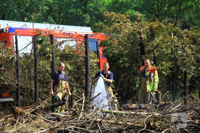 Nacontrole in bos na brand