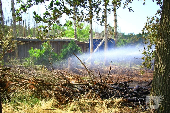Nacontrole in bos na brand