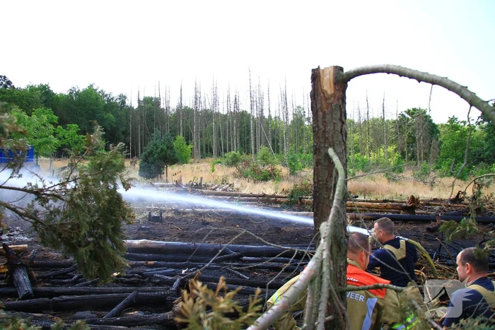 Nacontrole in bos na brand