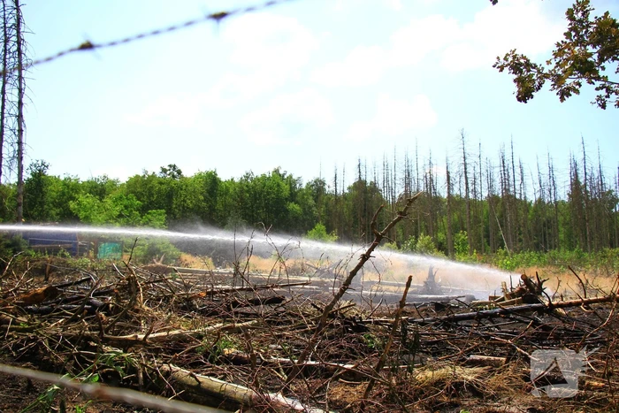 Nacontrole in bos na brand