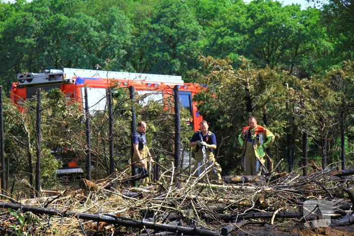 Nacontrole in bos na brand