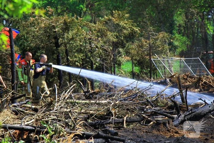 Nacontrole in bos na brand